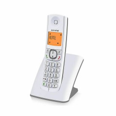 Telefono Senza Fili Alcatel ALCATELF530SG Grigio Bianco/Grigio (Ricondizionati B)