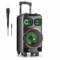 Altoparlante Bluetooth con Microfono Karaoke NGS WILD DUB ZERO 120W