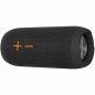 Altoparlante Bluetooth Portatile Avenzo AV-SP3005B Nero