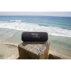 Altoparlante Bluetooth Portatile JBL Flip 6 20 W Grigio