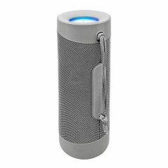 Altoparlante Bluetooth Portatile Denver Electronics 111151020550 10W Grigio Argentato