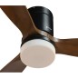 Ventilatore da Soffitto con Luce Grunkel SKYWIND-52WN Nero