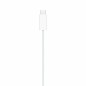 Cavo USB Magnetico per Ricaricare Apple MLWJ3ZM/A Bianco Verde (1 Unità)