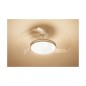 Lampada da soffitto Philips Plafón nichel 2700k 4500 Lm