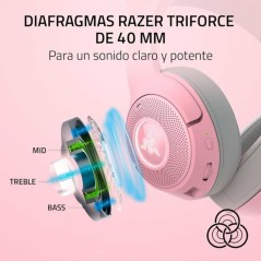 Auricolari con Microfono Razer RZ04-04860100-R3M1