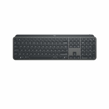 Tastiera Logitech 920-010248 Qwerty in Spagnolo Spagnolo Grigio Grafite