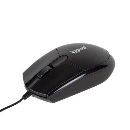 Mouse iggual IGG318874