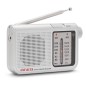 Radio Portatile Aiwa RS-55/SL Grigio