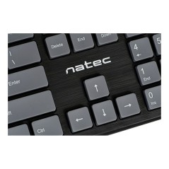 Tastiera Natec NKL-1829 Verde Inglese EEUU QWERTY