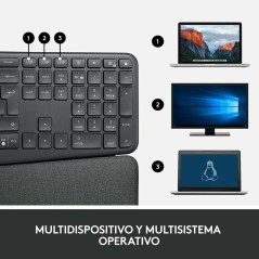 Tastiera Logitech 920-010105 Nero Grigio Grafite Qwerty in Spagnolo