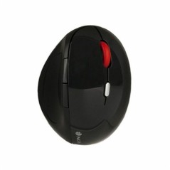 Mouse senza Fili NGS EVO ERGO Plug and play Nero