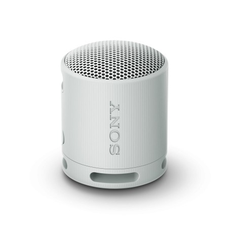 Altoparlante Bluetooth Portatile Sony Grigio