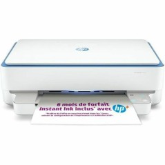 Stampante Multifunzione HP 6010e