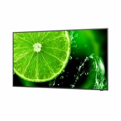 Monitor Videowall NEC 60005059 UHD 65" IPS D-LED 60 Hz 50-60  Hz 65"