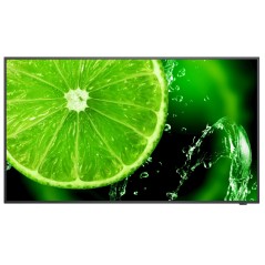 Monitor Videowall NEC 60005059 UHD 65" IPS D-LED 60 Hz 50-60  Hz 65"