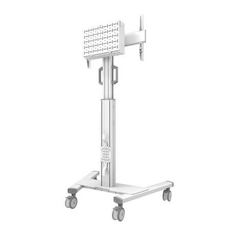 Supporto TV Neomounts FL50S-825WH1 70 Kg