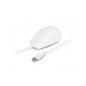 Mouse Urban Factory AWM68UF              Bianco