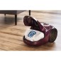 Aspirapolvere con Sacchetto Rowenta 3L 750 W Easy Brush Viola Violetta Porpora 2000 W 750 W