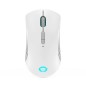 Mouse Lenovo GY51C96033 Bianco