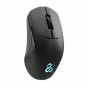 Mouse Newskill Chiron  Nero