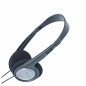 Auricolari Panasonic RP-HT090E-H Grigio Argentato